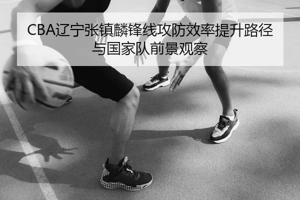 CBA辽宁张镇麟锋线攻防效率提升路径与国家队前景观察