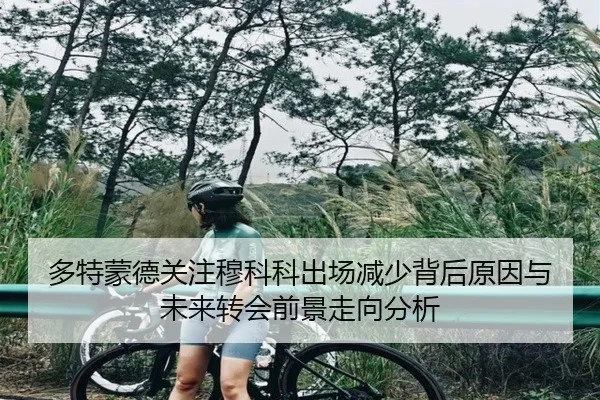 多特蒙德关注穆科科出场减少背后原因与未来转会前景走向分析